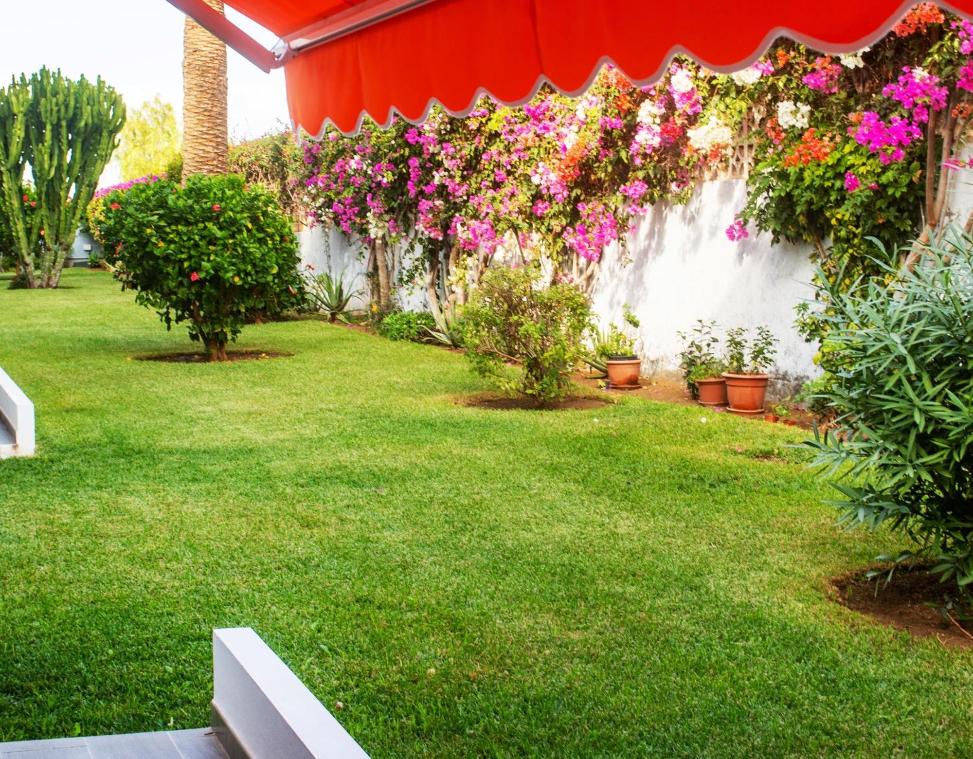 Appartement Casa Tranquila à Puerto de la Cruz  Extérieur photo